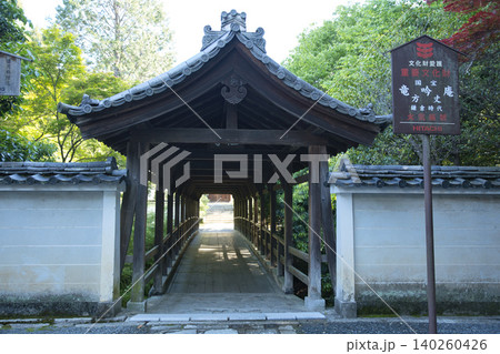 朝の静寂に包まれる偃月橋4 朝の静寂に包まれる偃月橋4 140260426