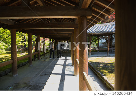 東福寺 朝日のやさしい日差しに包まれる通天橋1 東福寺 朝日のやさしい日差しに包まれる通天橋1 140260434