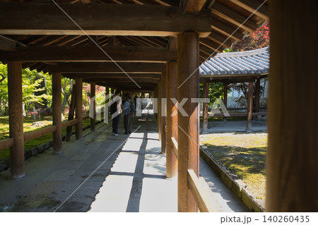 東福寺 朝日のやさしい日差しに包まれる通天橋2 東福寺 朝日のやさしい日差しに包まれる通天橋2 140260435