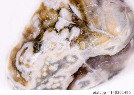 Macro mineral stone Jasper oceanic on a white background Macro mineral stone Jasper oceanic on a white background 140261490