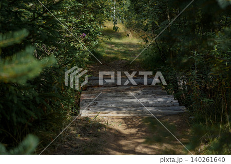 A small log bridge crosses a stream in a forest park surrounded by lush greenery and natural woodland scenery A small log bridge crosses a stream in a forest park surrounded by lush greenery and natural woodland scenery 140261640
