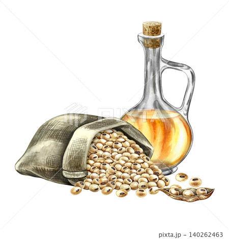 Soybean oil. Glass bottle, soybeans in a burlap bag. Hand-drawn watercolor illustration. For menus, recipes, and cookbooks. For banners, packaging, labels, and more. Soybean oil. Glass bottle, soybeans in a burlap bag. Hand-drawn watercolor illustration. For menus, recipes, and cookbooks. For banners, packaging, labels, and more. 140262463
