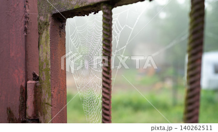 Spider web on rusty metal frame with blurred garden background Spider web on rusty metal frame with blurred garden background 140262511