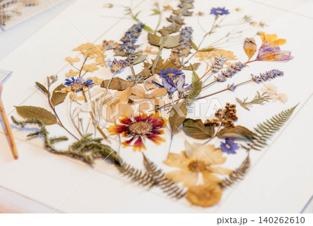 Herbarium. Dried various flowers and leaves. A woman makes an applique of dried flowers. Herbarium. Dried various flowers and leaves. A woman makes an applique of dried flowers. 140262610