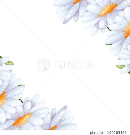 Vector diagonal frame with daisies Vector diagonal frame with daisies 140263161
