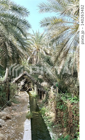 Serene Rural Waterway With Palms. Peaceful Agricultural Oasis With Lush Vegetation And Clear Streams. Idyllic Rural Water Channel Flowing Through Palm Grove And Rocky Banks Serene Rural Waterway With Palms. Peaceful Agricultural Oasis With Lush Vegetation And Clear Streams. Idyllic Rural Water Channel Flowing Through Palm Grove And Rocky Banks 140263482