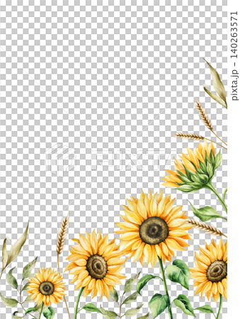 Watercolor yellow sunflower postcard, frame in warm autumn tones. Botanical ears of wheat, butterfly, hand drawn illustration isolated on background. Ideal for seasonal, halloween, forest, or nature Watercolor yellow sunflower postcard, frame in warm autumn tones. Botanical ears of wheat, butterfly, hand drawn illustration isolated on background. Ideal for seasonal, halloween, forest, or nature 140263571