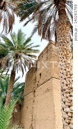 Pix Shows Palm Resting Against Weathered Adobe Wall With Orchard Beyond. Sunshine Illuminates Palm Leaning On Textured Adobe Wall Overlooking Lush Date Grove And Clear Blue Sky Pix Shows Palm Resting Against Weathered Adobe Wall With Orchard Beyond. Sunshine Illuminates Palm Leaning On Textured Adobe Wall Overlooking Lush Date Grove And Clear Blue Sky 140263769