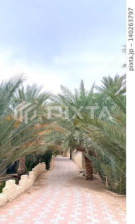 Pathway Lined With Palms Leading Inward. Alley With Tall Palms Inviting Tranquil Walks. Stone Tiled Pathway Surrounded By Majestic Palms Offering Peaceful Leisure Strolls 140263797