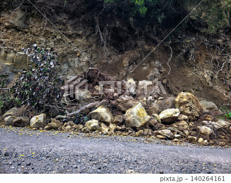 Rock and branch falls onto the roadway in mountainous areas. Danger of landslides on the roads. High quality photo Rock and branch falls onto the roadway in mountainous areas. Danger of landslides on the roads. High quality photo 140264161