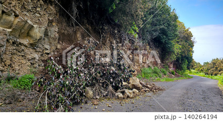 Rock and branch falls onto the roadway in mountainous areas. Danger of landslides on the roads. High quality photo Rock and branch falls onto the roadway in mountainous areas. Danger of landslides on the roads. High quality photo 140264194