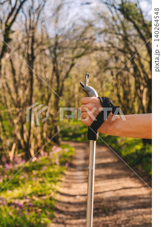 Hikers Hand Holding Trekking Pole on Forest trail 140264548