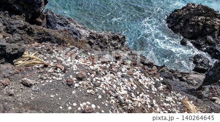 Shells and seaweed scattered on rocky shoreline with turquoise waves crashing against the coast, showcasing natural coastal beauty and marine life remnants. High quality photo 140264645
