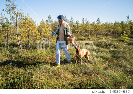 Positive woman at forest bog together with Vizsla dog collecting fresh cranberries and mushrooms 140264686