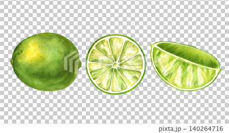 Watercolor lime set with whole fruit, round cross section slice and wedge isolated on white background. For cocktail menus, food packaging design, juice labels, kitchen decor, and summer textile 140264716