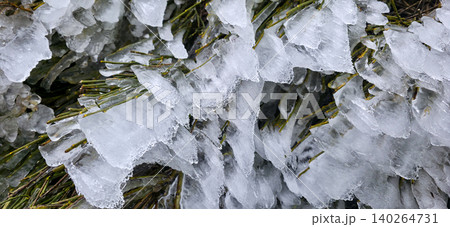 Ice-covered evergreen branches with a thick layer of frost, showcasing intricate ice formations and green needles after the rain in the frost and wind. High quality photo Ice-covered evergreen branches with a thick layer of frost, showcasing intricate ice formations and green needles after the rain in the frost and wind. High quality photo 140264731