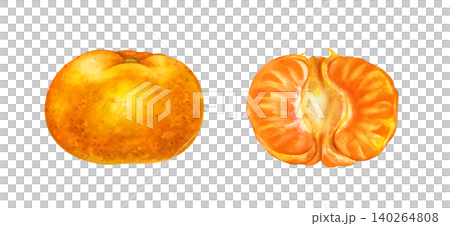 Watercolor tangerine set with whole mandarin fruit and peeled half isolated on white background. For food packaging design, juice labels, recipe books, kitchen decor, and summer textile prints Watercolor tangerine set with whole mandarin fruit and peeled half isolated on white background. For food packaging design, juice labels, recipe books, kitchen decor, and summer textile prints 140264808