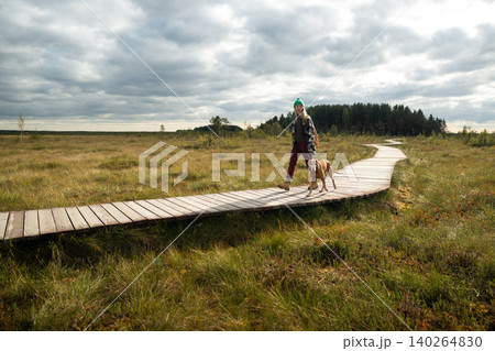 Woman hiker walking with dog on wooden ecological trail over raised sphagnum bog at autumn swamp Woman hiker walking with dog on wooden ecological trail over raised sphagnum bog at autumn swamp 140264830