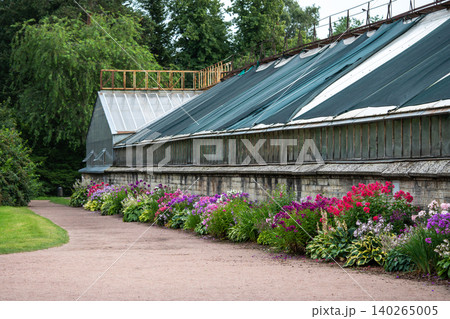 Colorful phlox bushes growing in garden near greenhouse under open sky during growing season 140265005