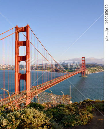 Golden Gate Bridge towers framed by wild plants above San Francisco Bay Golden Gate Bridge towers framed by wild plants above San Francisco Bay 140265040