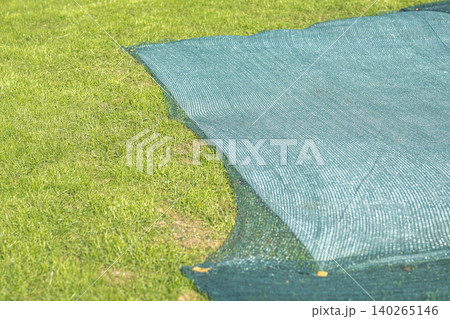 Technology for growing lush grass lawn using netting to cover ground and protect seedlings growth. Technology for growing lush grass lawn using netting to cover ground and protect seedlings growth. 140265146