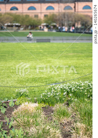 Green lawn with blossoming spring flowers arranged in park, people decorate and take care of nature. 140265674