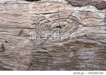 Natural wood texture with rings and patterns Natural wood texture with rings and patterns 140266108