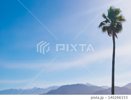 Stately palm tree stands before distant snow-capped mountain peaks. High angle view of tropical foliage and misty ridges offers a vast airy background for travel design Stately palm tree stands before distant snow-capped mountain peaks. High angle view of tropical foliage and misty ridges offers a vast airy background for travel design 140266153