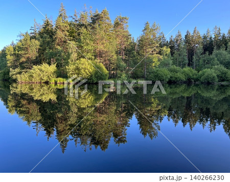Tranquil lake reflecting lush green forest under clear blue sky Tranquil lake reflecting lush green forest under clear blue sky 140266230