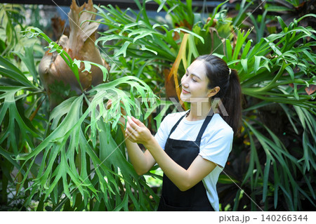 Female gardener checking staghorn fern, showing care, attention, and plant maintenance Female gardener checking staghorn fern, showing care, attention, and plant maintenance 140266344