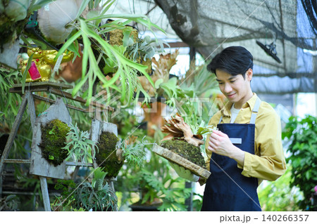 Man inspecting staghorn fern, showing attention to detail and plant care expertise 140266357