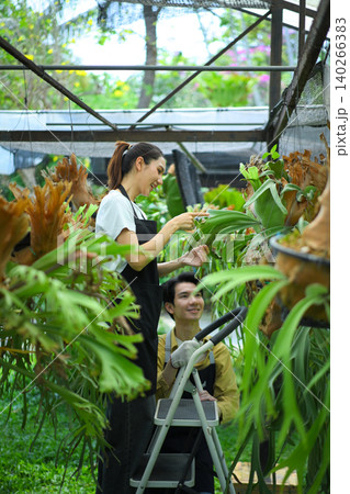 Female gardener checking staghorn fern, showing care, attention, and plant maintenance 140266383