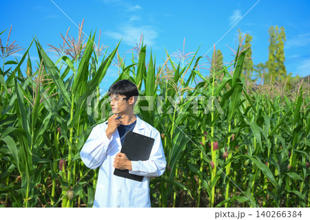 Agricultural researcher holding clipboard in corn field 140266384