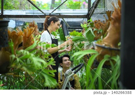 Female gardener checking staghorn fern, showing care, attention, and plant maintenance 140266388