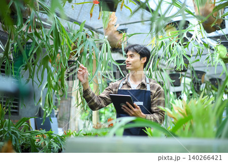 Gardener using tablet to check staghorn fern in greenhouse Gardener using tablet to check staghorn fern in greenhouse 140266421