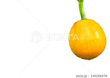 Ripe yellow orange pumpkin ready to cooking 140266476