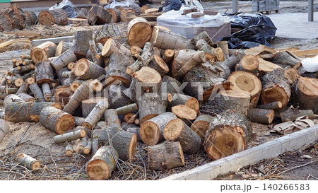 After storm.Pile of wooden logs from a felled tree. Firewood After storm.Pile of wooden logs from a felled tree. Firewood 140266583