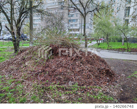 Cleaning of city streets after winter.Pile of cut branches and older leaves Cleaning of city streets after winter.Pile of cut branches and older leaves 140266748