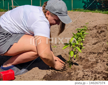Young woman planting small green seedlings in rows of soil, practicing sustainable agriculture and engaging in a spring gardening hobby, fostering development and future food production. Young woman planting small green seedlings in rows of soil, practicing sustainable agriculture and engaging in a spring gardening hobby, fostering development and future food production. 140267374