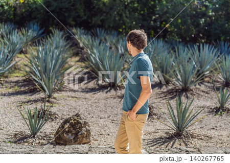 Male traveler visits rows of agave plants grown for tequila and mezcal production, showing Mexican agriculture, culture and rural travel concept 140267765