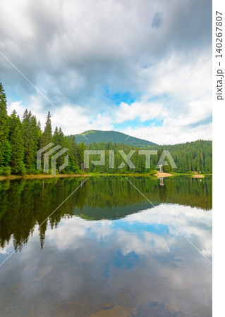 landscape by the lake on cloudy morning. coniferous forest near the lake and the forest mountain. awesome summer view of carpathian mountain reflection on synevr lake water surface. clean environment landscape by the lake on cloudy morning. coniferous forest near the lake and the forest mountain. awesome summer view of carpathian mountain reflection on synevr lake water surface. clean environment 140267807