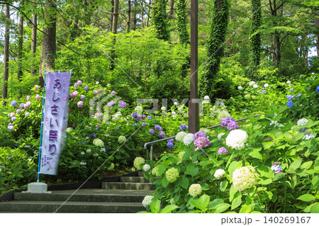 八景島の紫陽花祭り 140269167