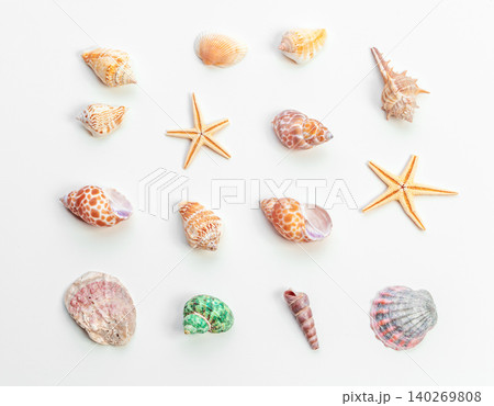 shells isolated on white background. creative photo. shells isolated on white background. creative photo. 140269808