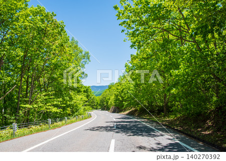 爽やかな山岳道路「乗鞍エコーライン」新緑シーズン　《長野県 松本市》 140270392