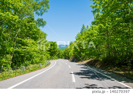 爽やかな山岳道路「乗鞍エコーライン」新緑シーズン 《長野県 松本市》 爽やかな山岳道路「乗鞍エコーライン」新緑シーズン 《長野県 松本市》 140270397