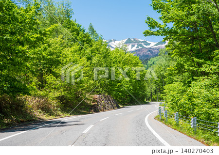 爽やかな山岳道路「乗鞍エコーライン」新緑シーズン　《長野県 松本市》 140270403