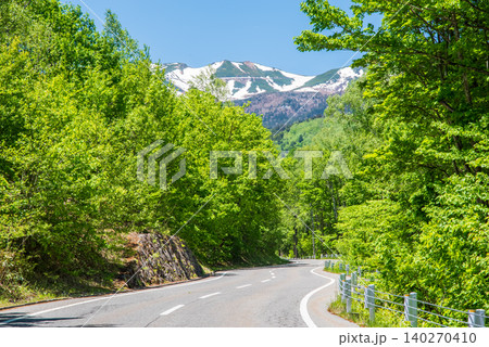 爽やかな山岳道路「乗鞍エコーライン」新緑シーズン　《長野県 松本市》 140270410