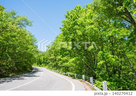 爽やかな山岳道路「乗鞍エコーライン」新緑シーズン　《長野県 松本市》 140270412