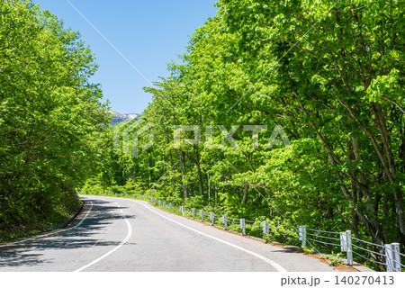 爽やかな山岳道路「乗鞍エコーライン」新緑シーズン　《長野県 松本市》 140270413