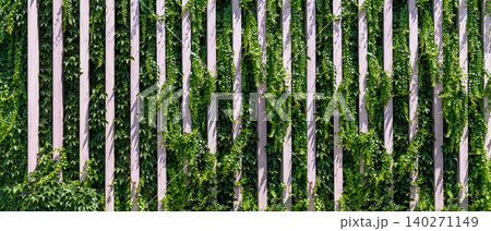 Vertical garden on a green wall. Environmentally friendly urban space 140271149